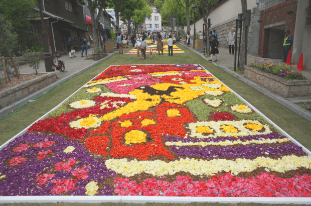 インフィオラータ1